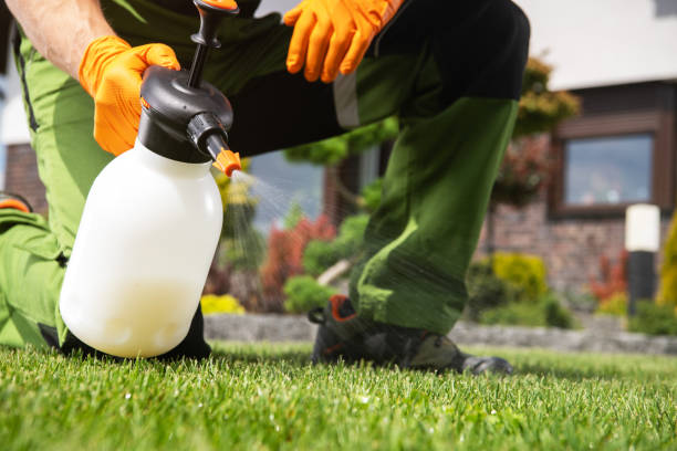 Best Pest Prevention Services  in Amite City, LA