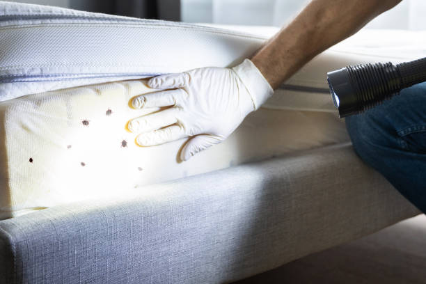 Best Cockroach Control Services  in Amite City, LA