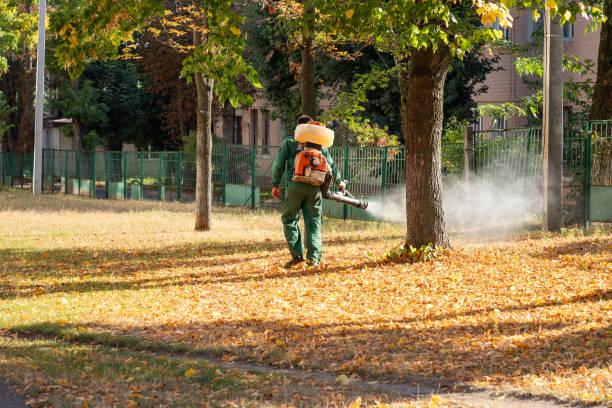 Trusted Amite City, LA Pest Control Experts